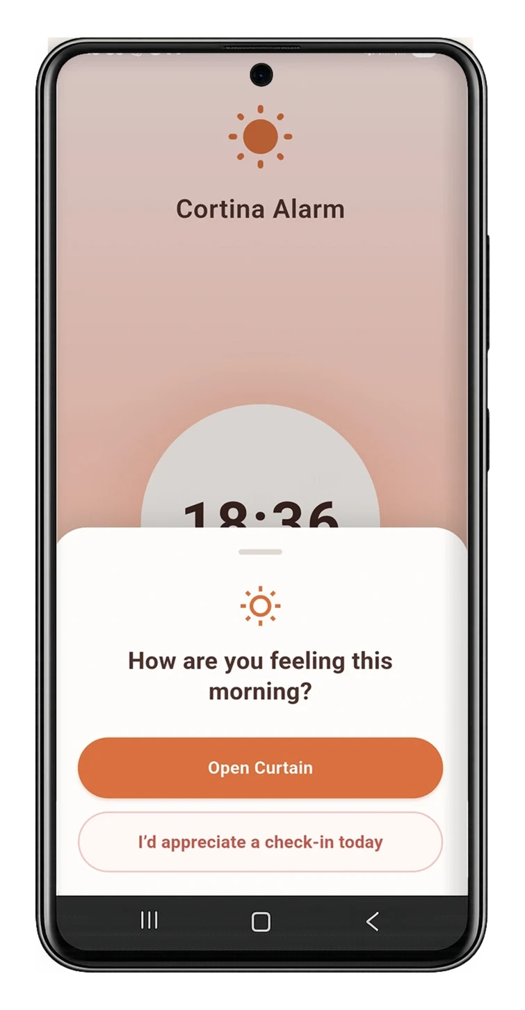 Dismissing alarm in morning check-in app